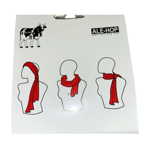 NWT Ale Hop Scarf With Tassels - Blue, Pink, Peacock Feather Pattern - Picture 4 of 5